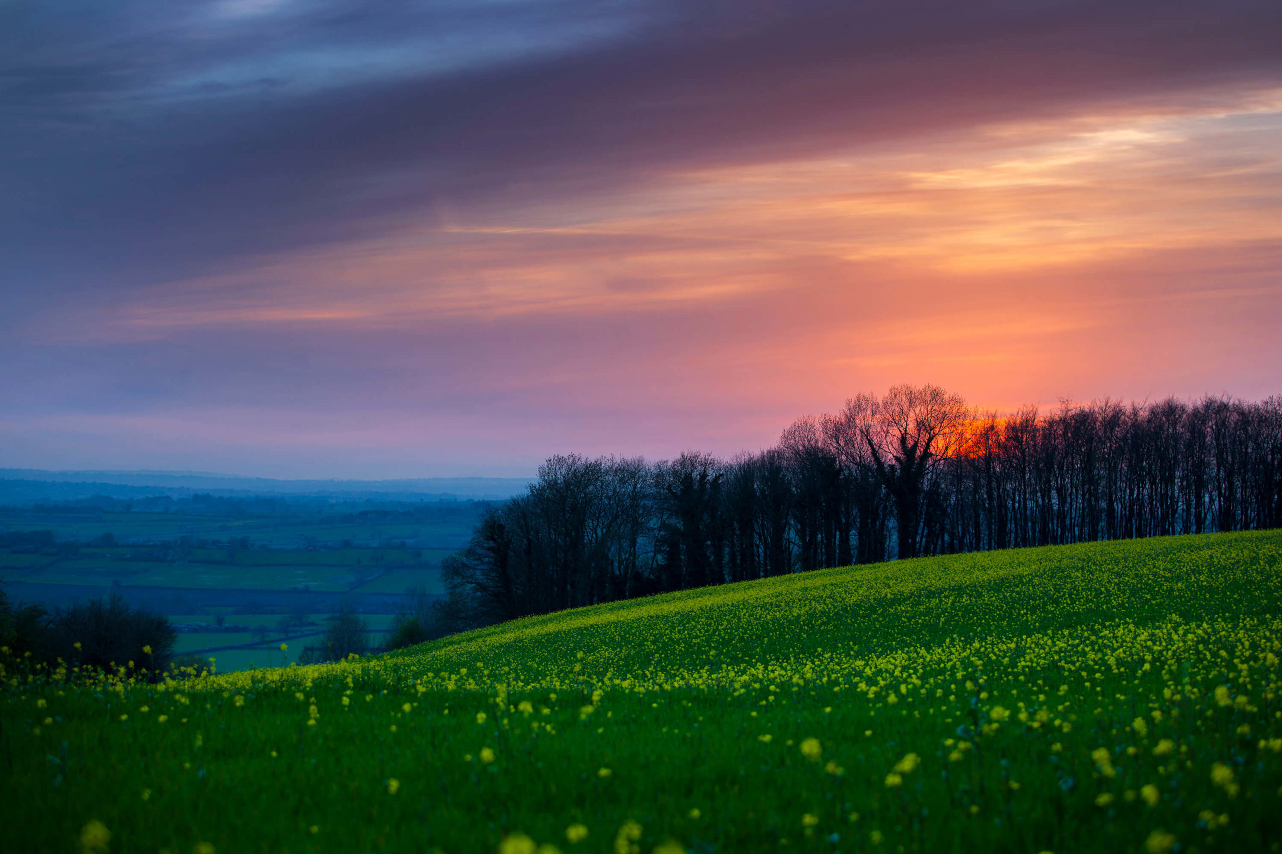 Somerset Sunset for Bloor Homes