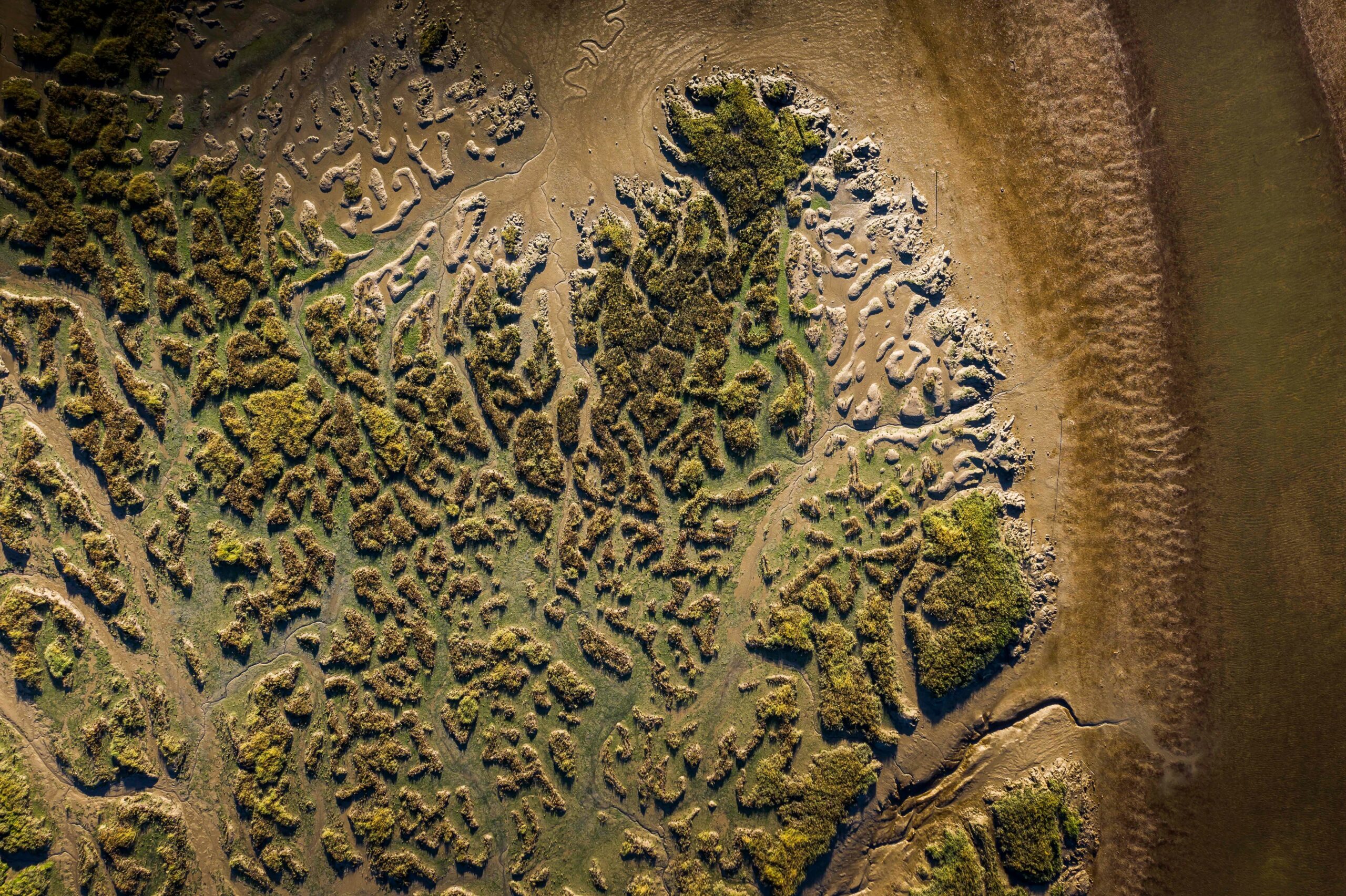 River Deben marshland