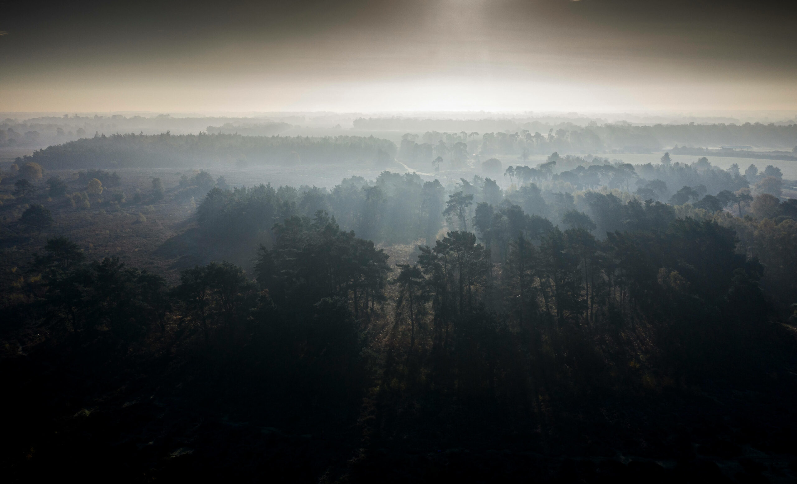 Sunrise over Sutton Heath